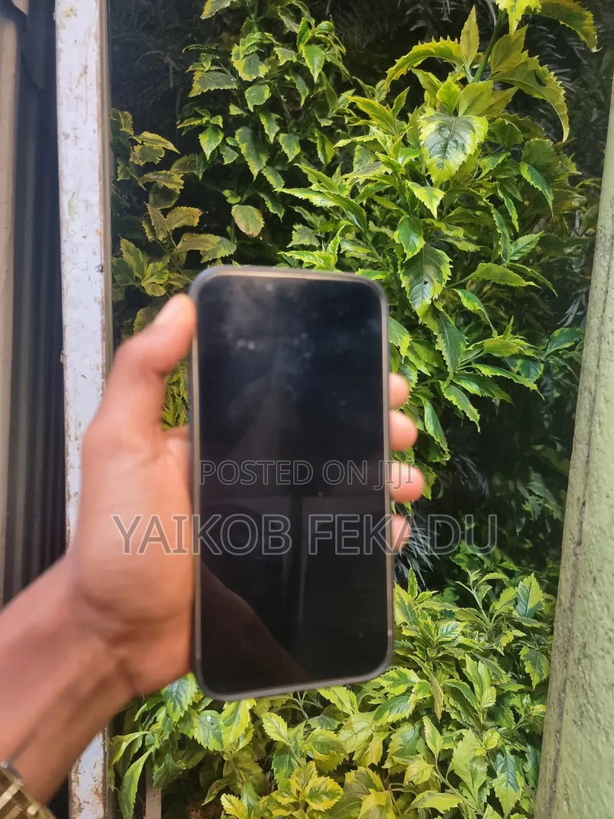 Apple iPhone 14 Plus 128 GB Green