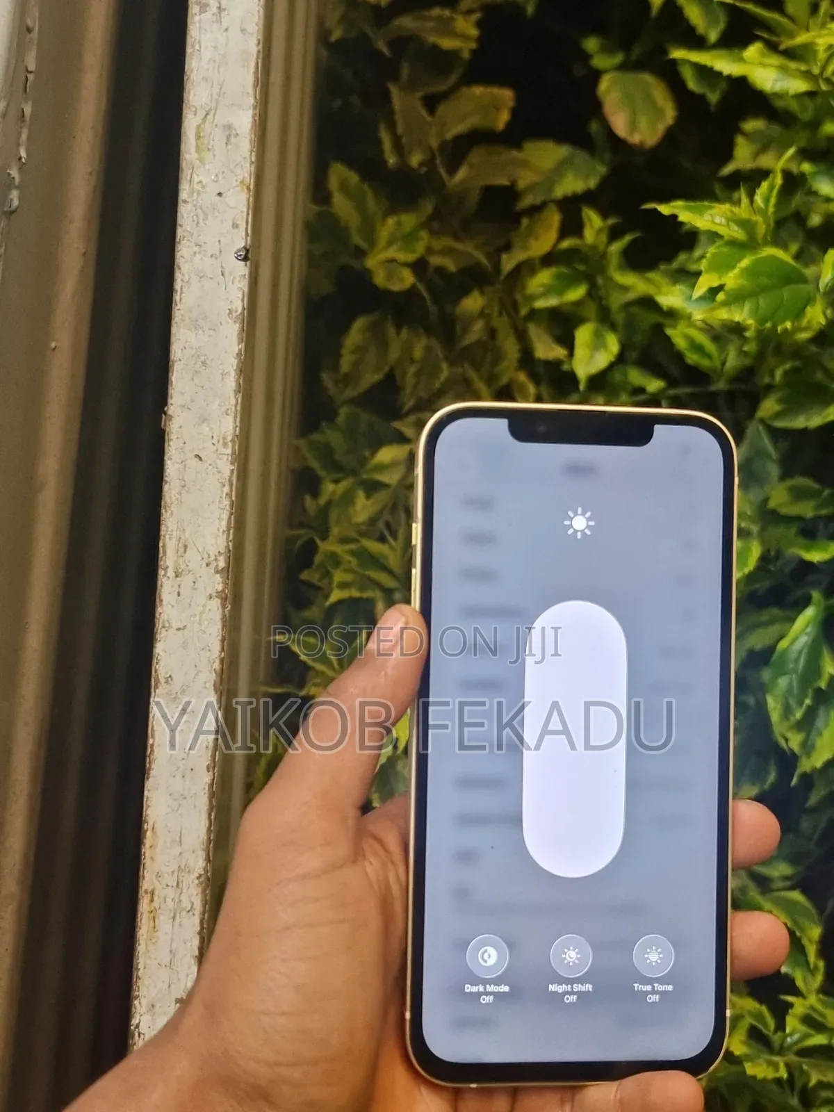 Apple iPhone 14 Plus 128 GB Green