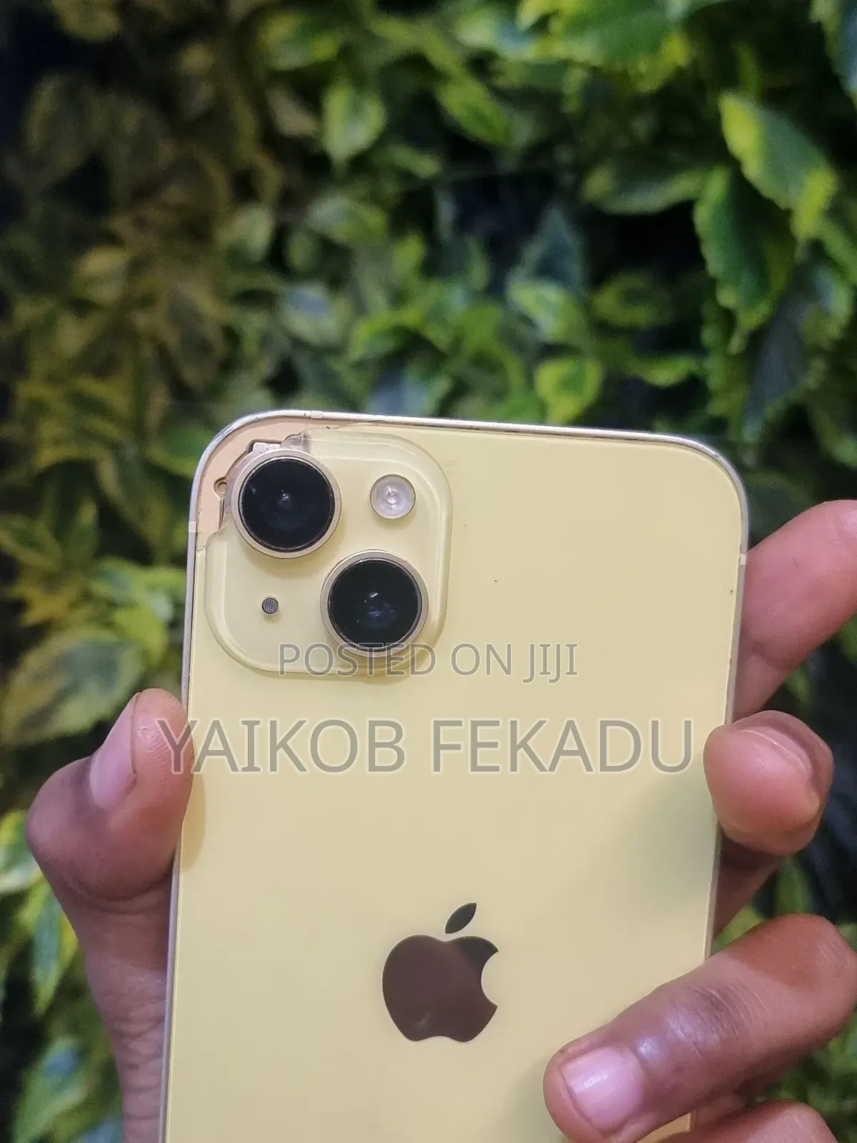 Apple iPhone 14 Plus 128 GB Green