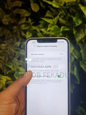 Apple iPhone 14 Plus 128 GB Green