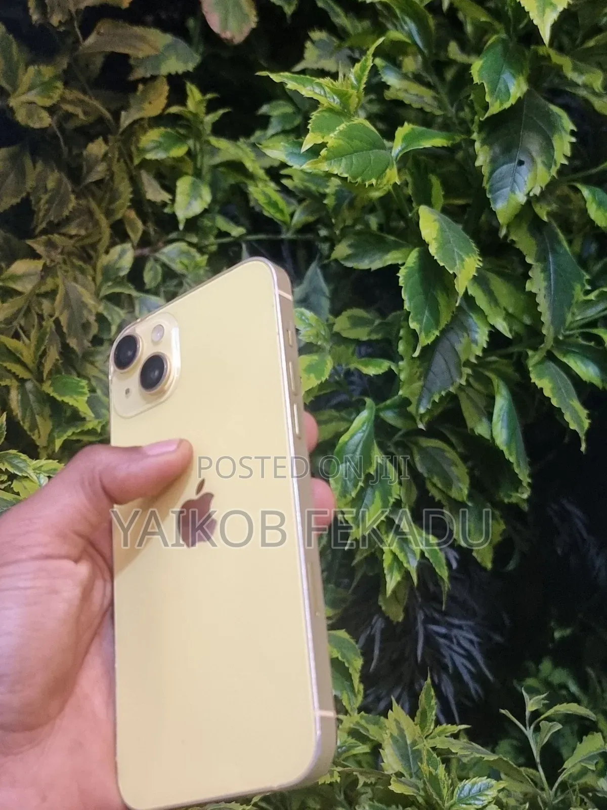 Apple iPhone 14 Plus 128 GB Green