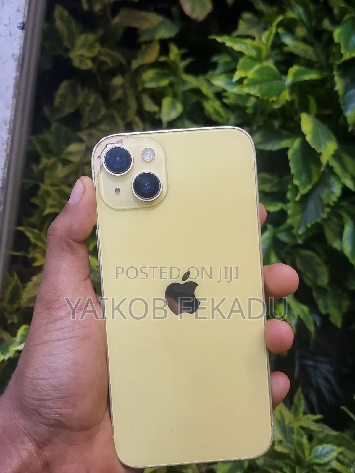 Apple iPhone 14 Plus 128 GB Green