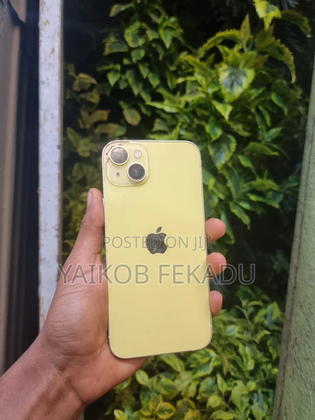 Apple iPhone 14 Plus 128 GB Green