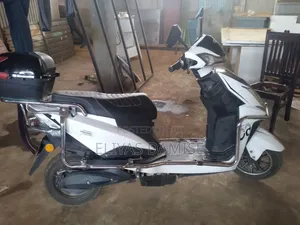 Photo - Captain CP175 2022 White