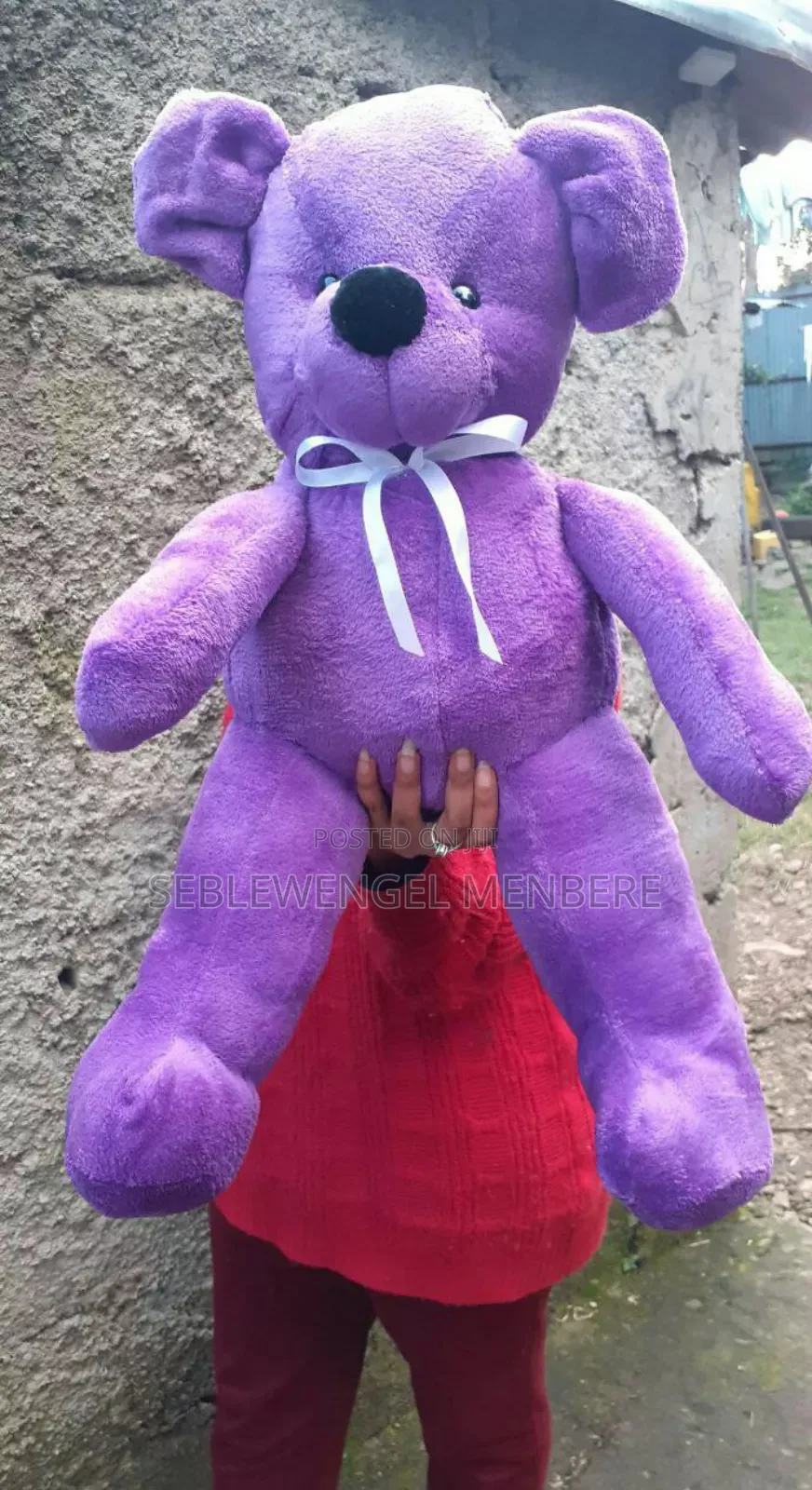 Toys for Girls or Boys