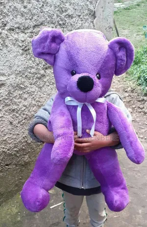 Toys for Girls or Boys