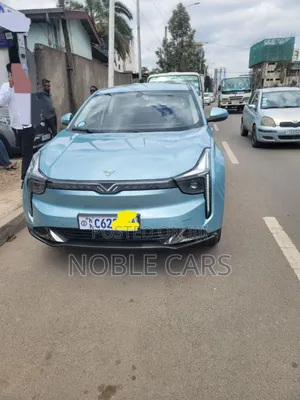 Hozon Neta U 2023 Blue