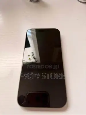 Apple iPhone 15 Pro Max 256 GB Gray