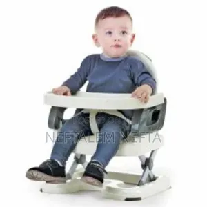 Mastela Booster to Toddler Seat