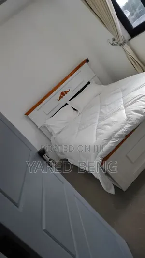 Photo - Furnished 3bdrm Apartment in Yared Beng, Lideta for sale