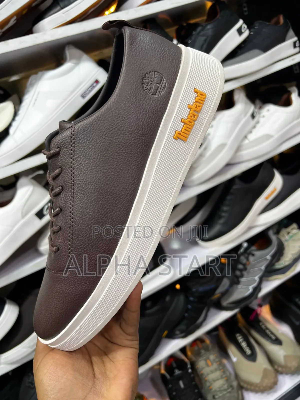 Timberland Orginal Men's Shoe's Usa