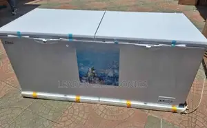 Photo - Massive Storage, Maximum Cooling | Enzo 600 Chest Freezer