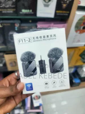 Photo - F11-2 Microphone