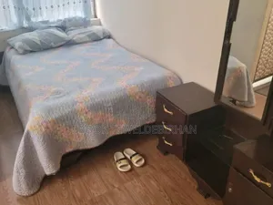 Furnished 2bdrm House in Yeka for rent