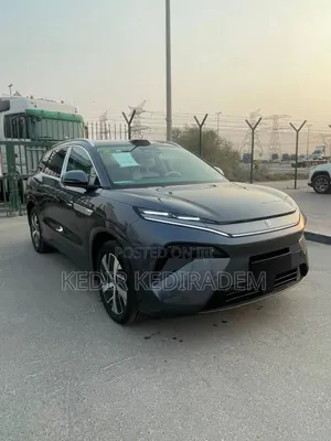 Photo - New BYD Tang DM-i 2025 Gray