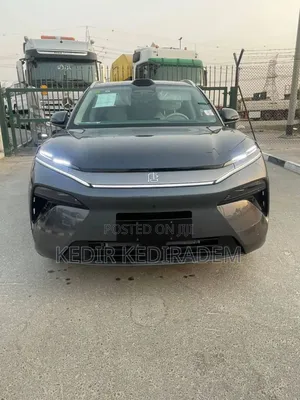 New BYD Tang DM-i 2025 Gray