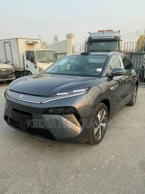 New BYD Tang DM-i 2025 Gray