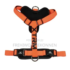 Photo - Dog Harnesses With Leash