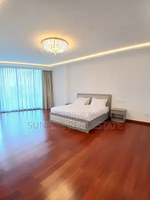 Furnished 3bdrm Apartment in Bole for rent