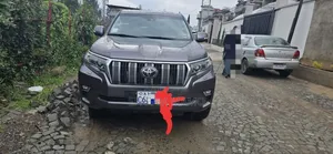 Photo - Toyota Land Cruiser 2023 Gray