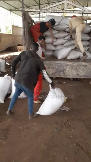 Weed and Pathogen Free Quality Compost