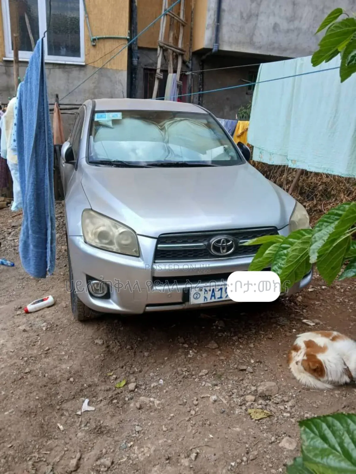 Toyota RAV4 2010 Silver