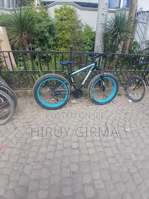 BMX Speshal Bike