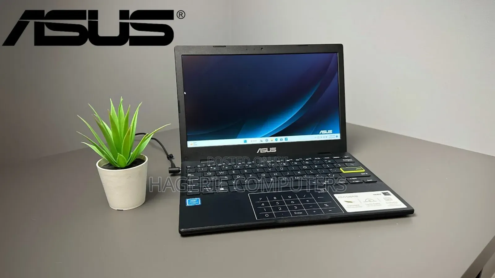 New Laptop Asus VivoBook 15 X505BA 4GB Intel Celeron SSD 256GB