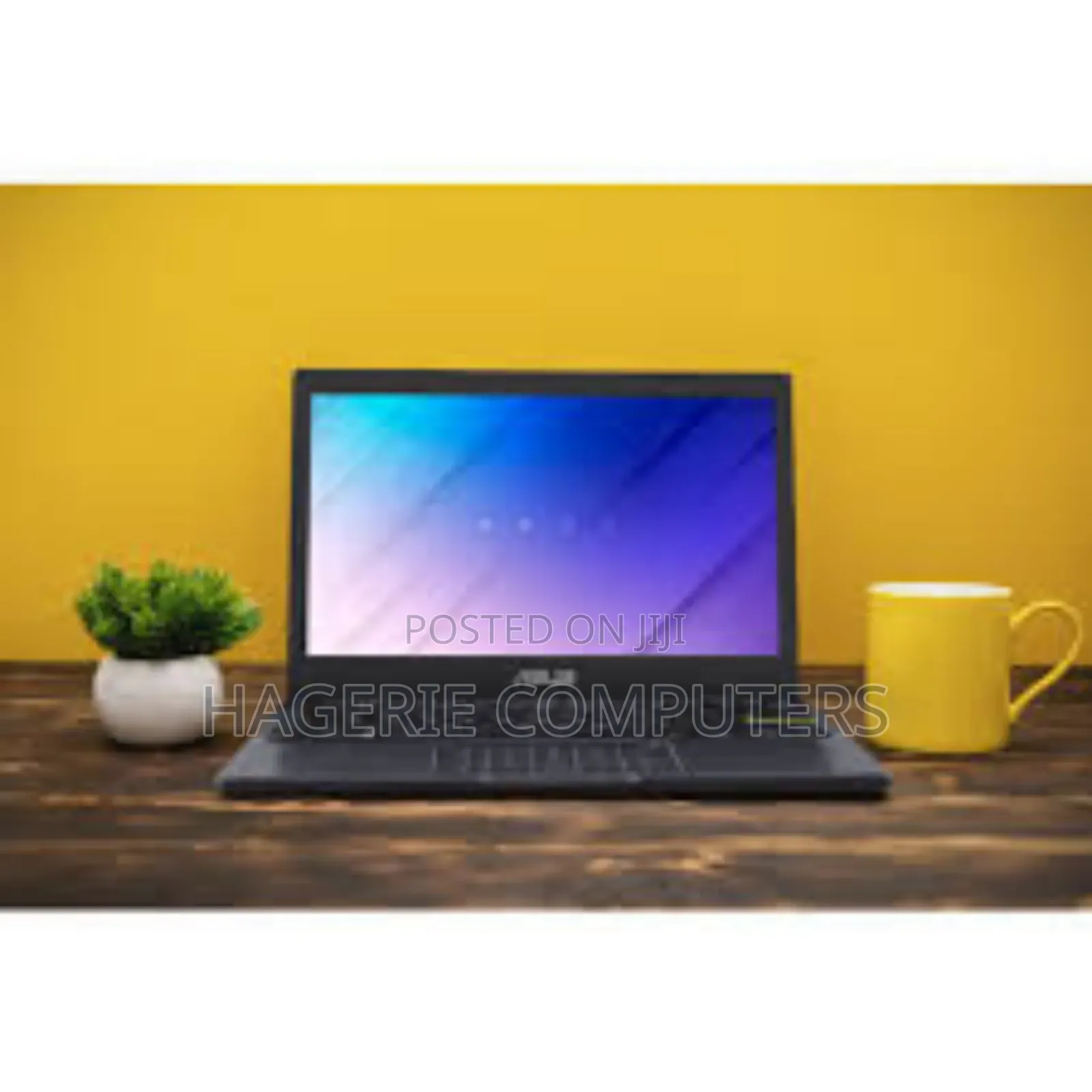 New Laptop Asus VivoBook 15 X505BA 4GB Intel Celeron SSD 256GB