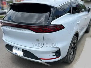 Photo - BYD Tang DM-i 2024 White