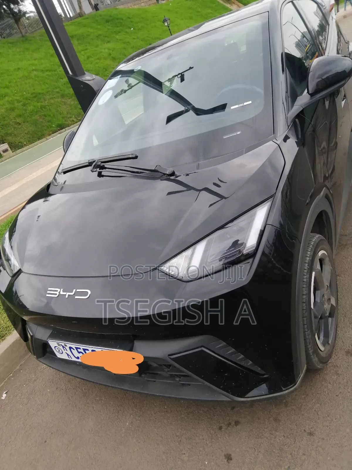 New BYD Seagull 2024 Black