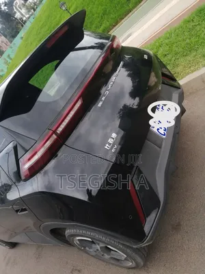 New BYD Seagull 2024 Black