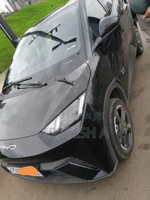 New BYD Seagull 2024 Black