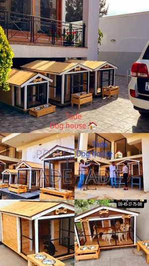 Photo - ዘመናዊ የውሻ መኖሪያ ቤቶች