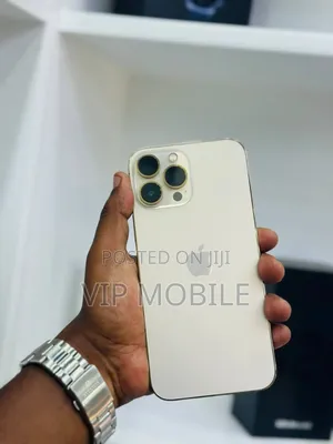 Apple iPhone 13 Pro Max 1 TB Gold