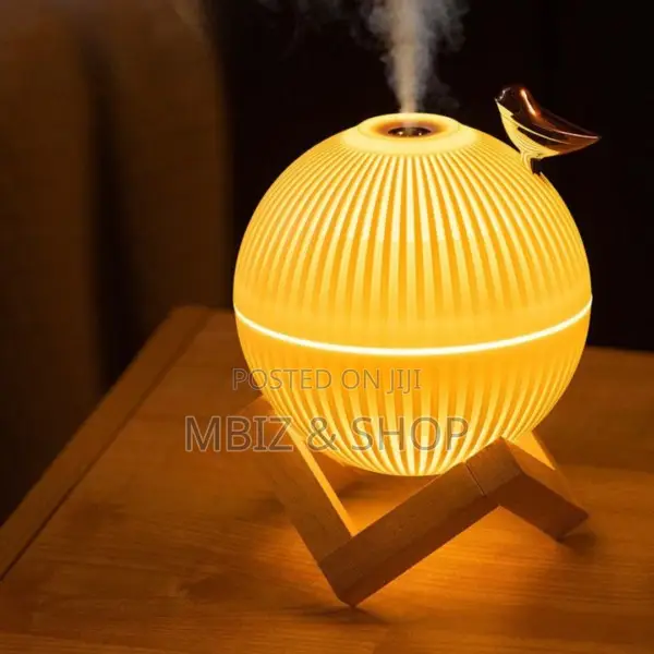 Air Humidifier With Led Light