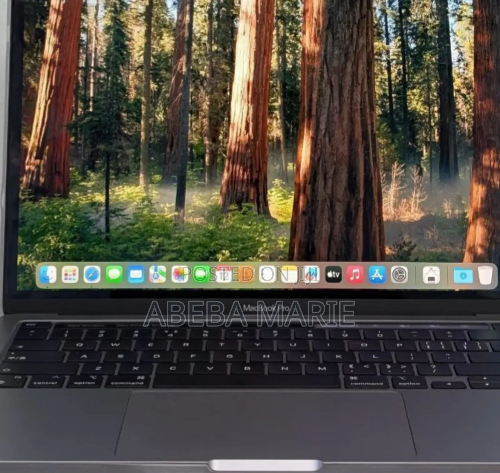 New Laptop Apple MacBook Pro M1 8GB Apple M1 Pro SSD 256GB