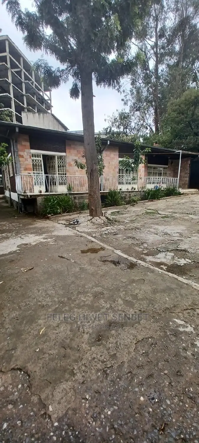 የሚሸጥ ጽድት ያለ ቪላ ቤት ያለው ቦታ