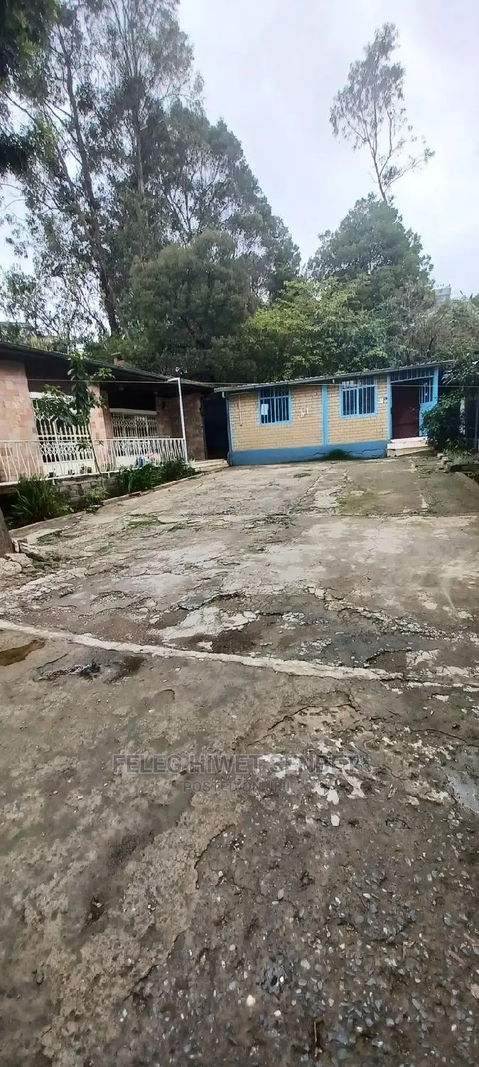 የሚሸጥ ጽድት ያለ ቪላ ቤት ያለው ቦታ