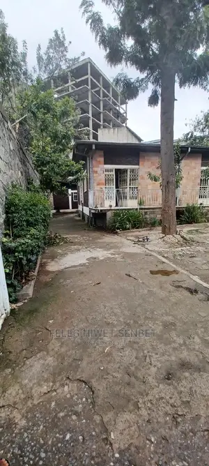 የሚሸጥ ጽድት ያለ ቪላ ቤት ያለው ቦታ