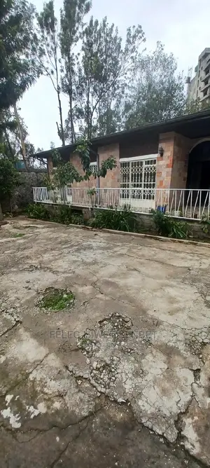 የሚሸጥ ጽድት ያለ ቪላ ቤት ያለው ቦታ