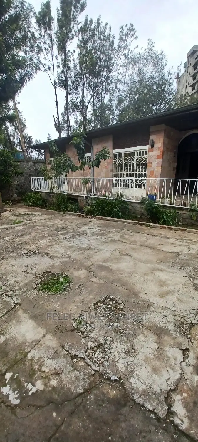 የሚሸጥ ጽድት ያለ ቪላ ቤት ያለው ቦታ