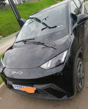 New BYD Seagull 2024 Black