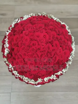 Photo - Bloom Flower