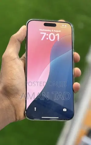 Apple iPhone 15 Pro Max 256 GB Gray