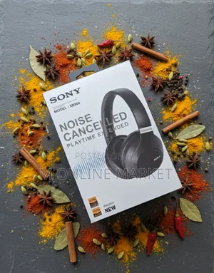 Photo - Sony 900 Lasts Longer, a Durable Companion for Years.