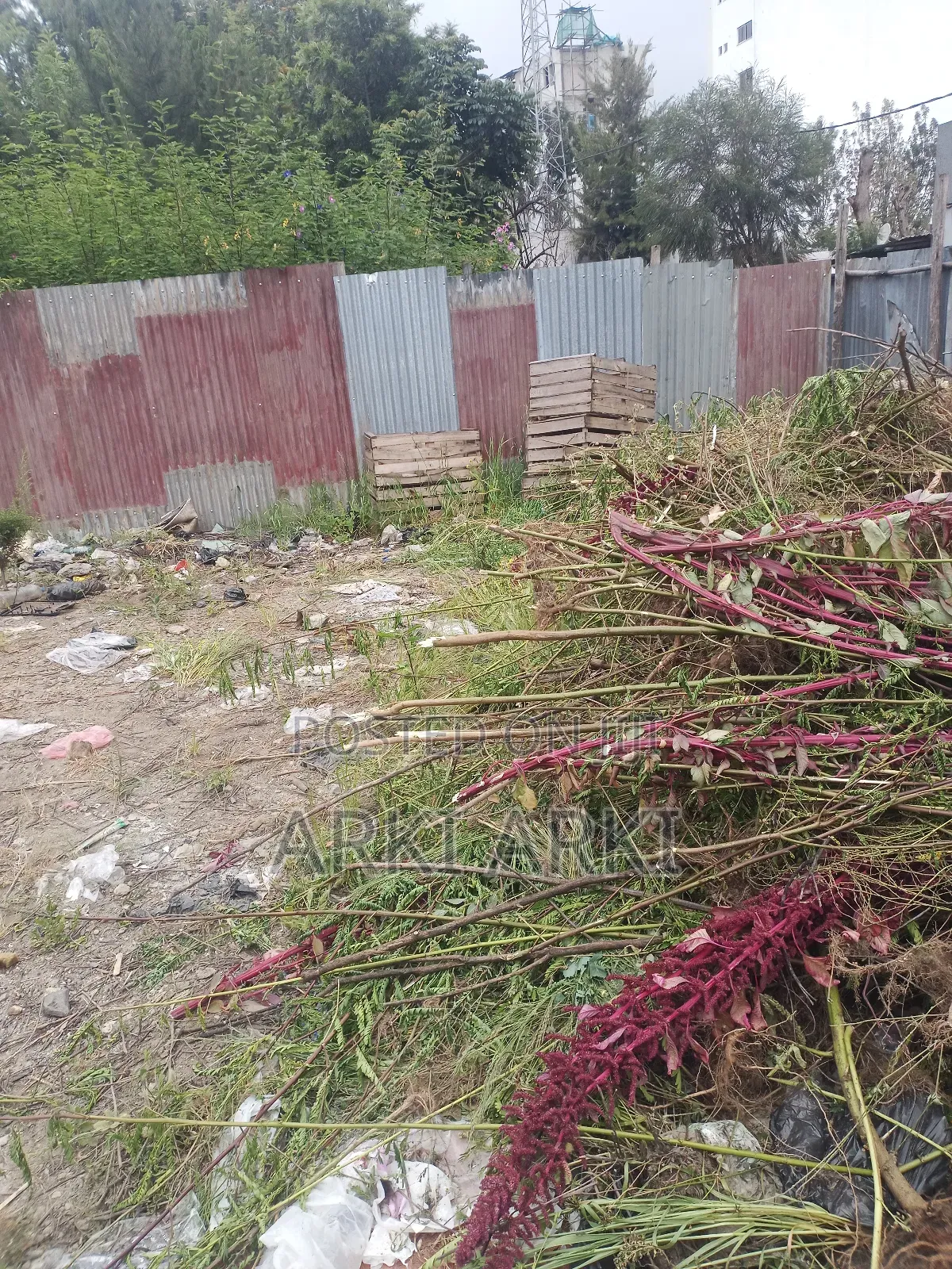 1bdrm Villa in L Shape 175Care Land, Bole for sale