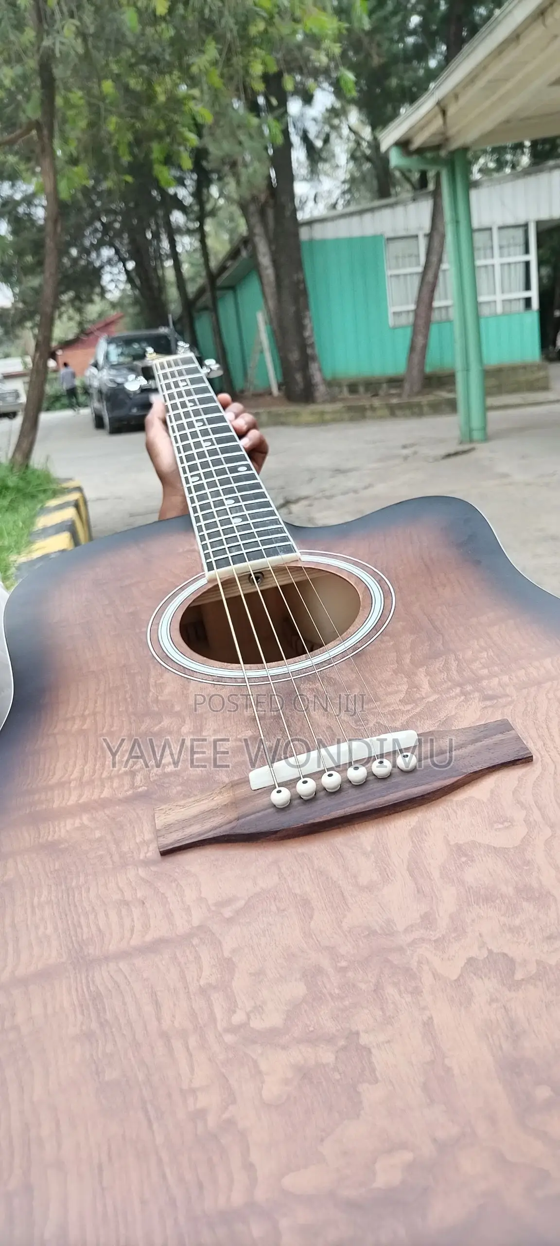 Sanchez Semi Acoustic Guitar