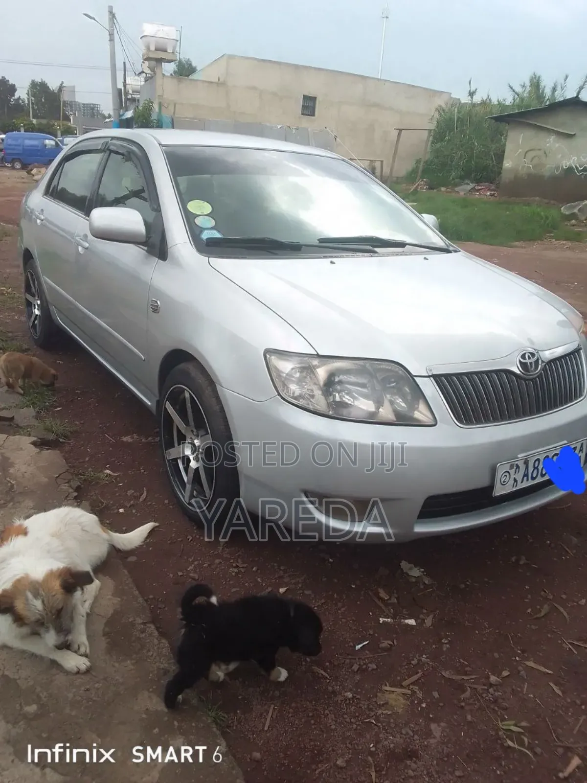 Toyota Corolla 2007 Gray