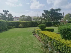 7bdrm House in Ccd, Yeka for rent